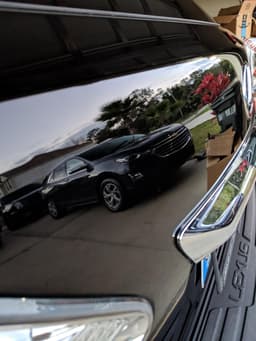 Photo by T. Edwards 3