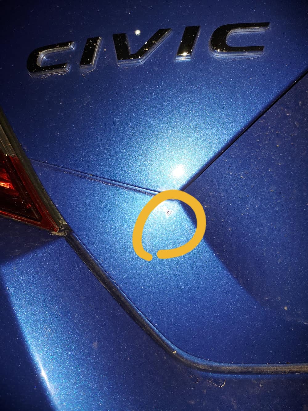 Foto von Madalyn 3